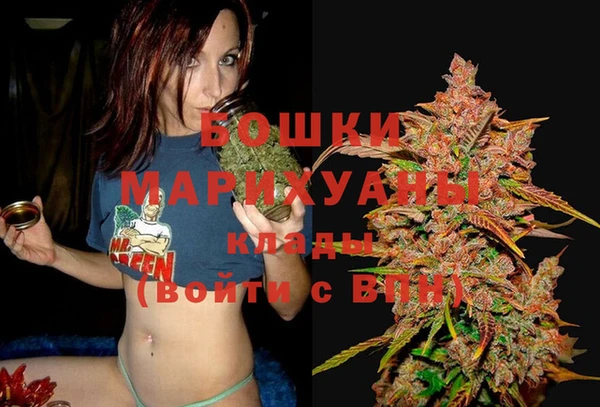 прущие грибы Богородицк