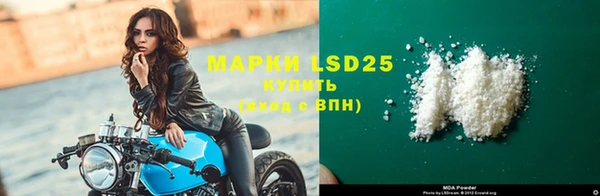 прущие грибы Богородицк