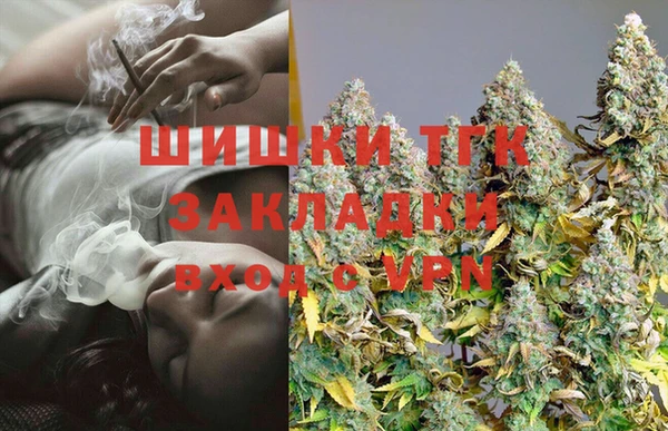 прущие грибы Богородицк