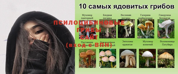 марихуана Богданович