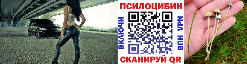 как найти закладки  Полтавская  Галлюциногенные грибы мицелий 