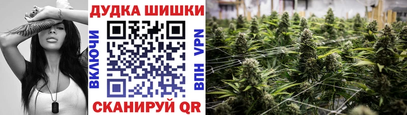 гидра маркетплейс  Полтавская  площадка клад  Каннабис сатива 